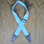 Light Blue Webbing with Heavy Duty Leather Ends Guitar Strap