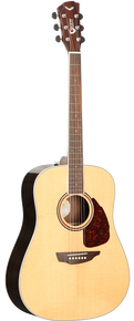 SGW S500D Dreadnought Acoustic Guitar