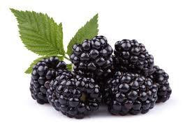 Blackberries 6 OZ / 170g