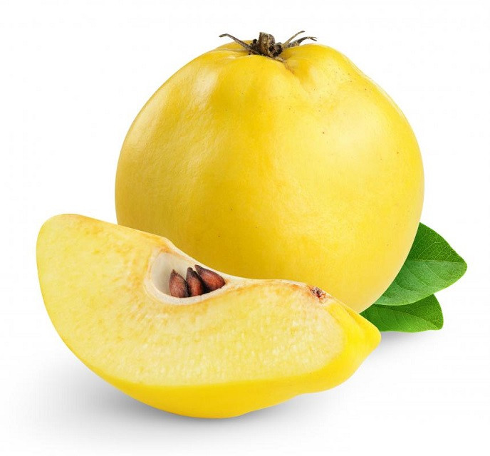 Fresh Quince (1ea) DIZIN Online Store