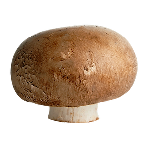 Mushroom Cremini Bulk 1lb