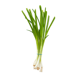 Green Onion (1 bunch)