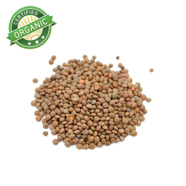 Organic lentils online