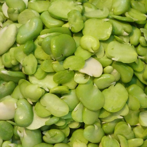 Fresh Frozen Peeled Green Fava Beans (باقالی سبز) 400 gr DIZIN Online