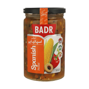 Spanish Pickled (ترشی اسپانیایی) 650gr - Badr