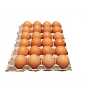 Large Free Run Brown Eggs 2 dozen تخم مرغ 