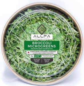Broccoli Microgreens 50gr