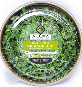 Arugula Microgreens 45gr