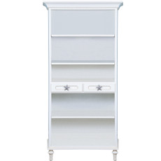 Princess Ariel's Bookcase