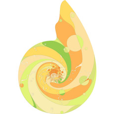 Sun Swirl Rug