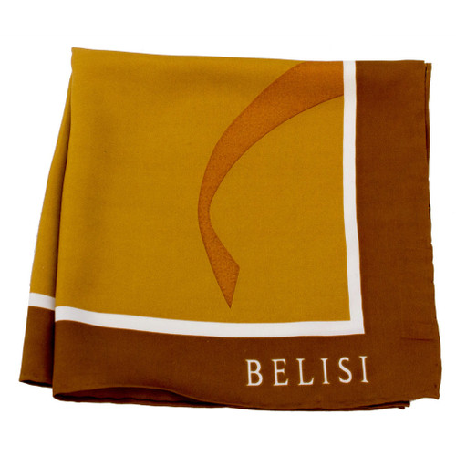 It Makes Cents Copper Silk Pocket Square or Handkerchief by Belisi