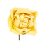 Short Stem Rose in Yellow Set of 6 Roses