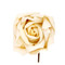 Short Stem Rose in Ivory Set of 6 Roses