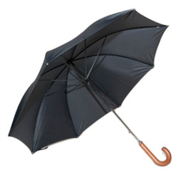 Black Professional Quality Umbrella with Silver Shaft