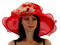 http://d3d71ba2asa5oz.cloudfront.net/12022065/images/5hart5303_red_champagne_frontside_lifestyle_a.jpg