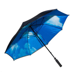 Never Dull or Boring Extra Large Golf Umbrella in Blue Sky Print