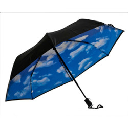 Compact Triple-fold Umbrella with Perfect Day Print