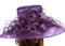 http://d3d71ba2asa5oz.cloudfront.net/12022065/images/5hart1625_lifestyle_detail_purple_a.jpg