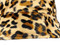 Reversible Leopard Hat