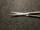 Blade photo of Pilling 144352 Stevens Tenotomy Scissors, CVD, 4.5"