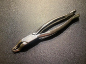 Aesculap Dental 53L Extraction Forceps