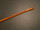End photo of BARD 024022 Woven Phillips Follower, Urethral Bougie, 22F X 13.5" 