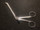 Handle photo of V. Mueller RH551-356 Nasal Suction Forceps, ANG Up, No 1