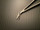 Blade photo of V. Mueller CH5661-002 Artery Scissors, Ball Tip, 45 dg