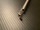 Jaw photo of ACMI E8213 Rigid Optical Tearing Cup Forceps