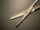 Blade photo of V. Mueller SU1804 Vital MAYO Scissors, TC, STR, 6.75"