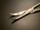 Blade photo of Codman 54-4151 Jorgenson Scissors, 8.5"