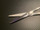 Blade photo of Medline 08.164.17 Mayo Scissors, TC, STR, 6.75"