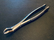 Photo of Hu-Friedy 53R Extraction Forceps