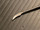 Blade photo of BOSS 93-5580 Sinus Sickle Knife, Sharp, STR, 7.5"