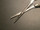 Blade photo of V. Mueller RH600 Knight Nasal Scissors, 6.75"