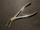 Photo of Storz N5352 Cottle Rongeur Forceps, 8"
