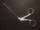 Handle photo of V. Mueller AU14150 Wullstein Ear Scissors, CVD Right, 4.5"