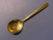 Photo of Gyrus Medical Spoon
