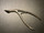 Handle photo of Richards 55-0365 Beckman Nasal Speculum, Strong Curve