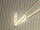 Blade photo of V. Mueller CH5740 Diethrich Artery Scissors, ANG 125°, 7.25"