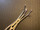 Blade photo of BOSS 95-3055 LaBorde Tracheal Dilator