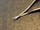 Blade photo of Solan 000-2400 Vannas Capsulotomy Scissors, STR, 3.1"