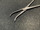 Jaw photo of Aesculap BH139R Dandy Forceps, CVD, 5.5"