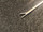 Jaw photo of Symmetry 61-0147 House Mini Forceps, 4mm Jaw, 5.25"