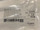 Label photo of Aesculap BM038R Durogrip TC DeBakey Needle Holder, 12" (NEW)