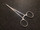 Handle photo of V. Mueller SU2702 Halsted Mosquito Forceps, CVD, 5"