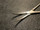 Jaw photo of Aesculap BH167R Crile Forceps, CVD, 6.25"