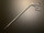 Photo of Jarit 600-135 Laparoscopic Claw Forceps, 10mm x 32cm
