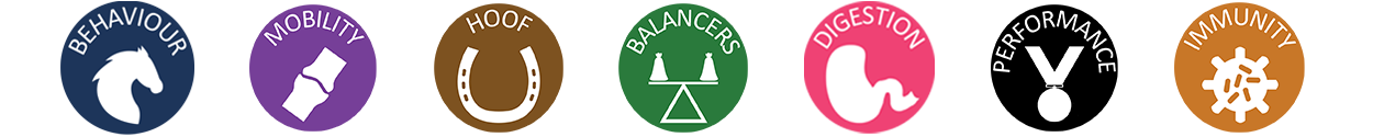 behaviour-mobility-balancer-icons.png