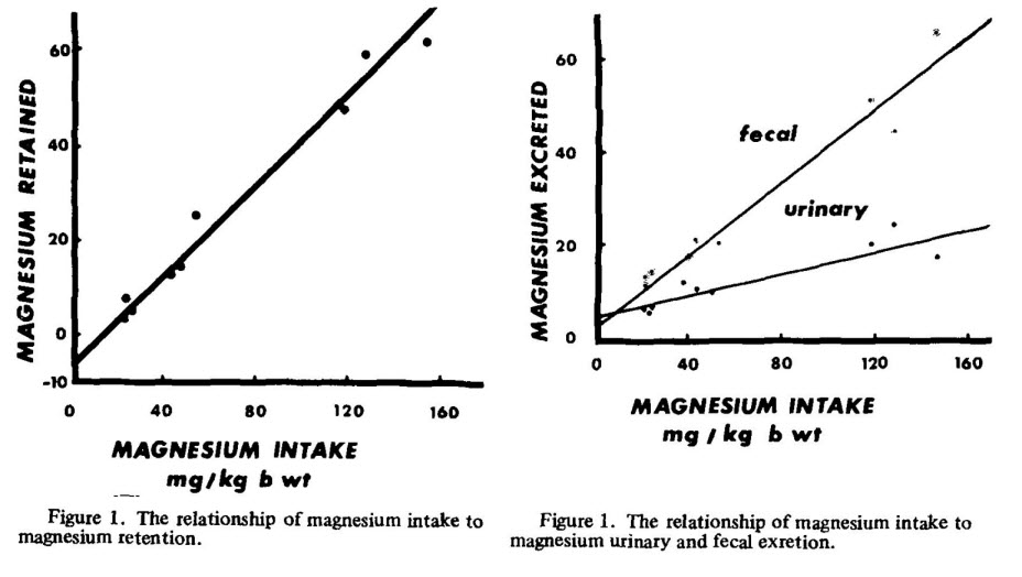 Is the dietary calcium to magnesium ratio important?
